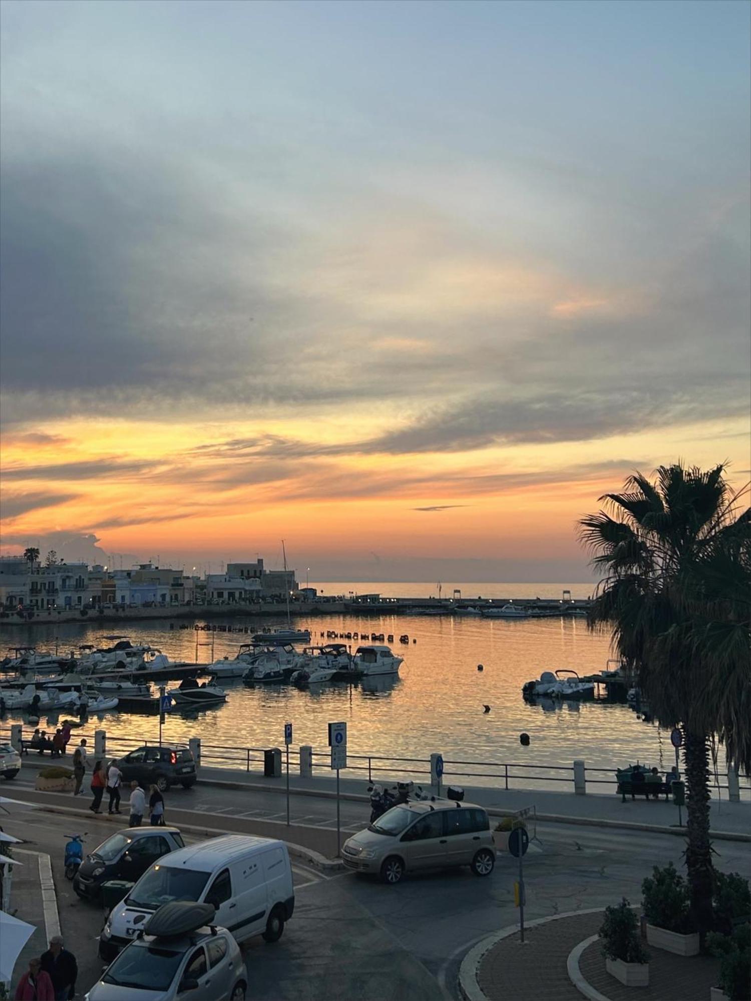 Nocleg ze śniadaniem Orchidea Bari